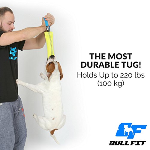 Bull Fit mordedor perro, 30 cm - Embutido de manguera, K9 dummy y motivador canino resistente y duradero - juguetes para perros de entrenamiento