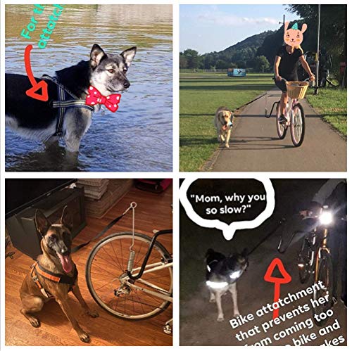 Cable para bicicleta manos libres para perros con amortiguador de resorte | Accesorio de bicicleta con conector rápido con 2 correas | Ejercitador para perros pequeños y grandes | Bono incluido