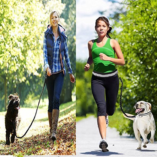Cadrim correa para perro, correa doble, fabricada,ideal como correa de perro para correr, bicicleta, deporte, running (Negro)