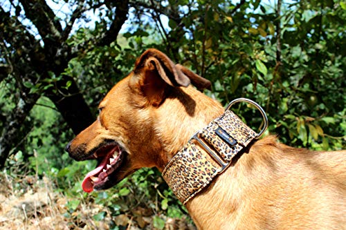 candyPet Collar Martingale Para Perros - Modelo Leopardo, L