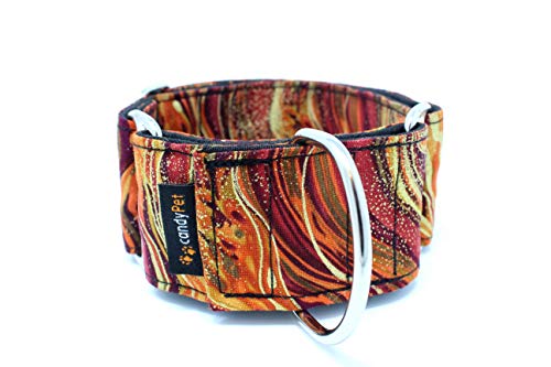 candyPet Collar Martingale Para Perros - Modelo New Waves, S