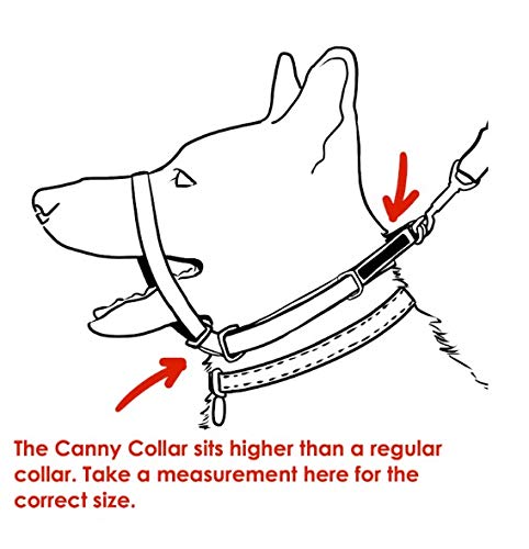 Canny The Collar: Ayuda Simple y efectiva con el Entrenamiento del Perro y Evita Que los Perros tiren de la Correa