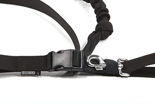 cat-or-dog.boutique - Juego de Manos Libres para canicros/Trekking/Jogging/Skijoring: cinturón + Correa elástica, 3 tamaños