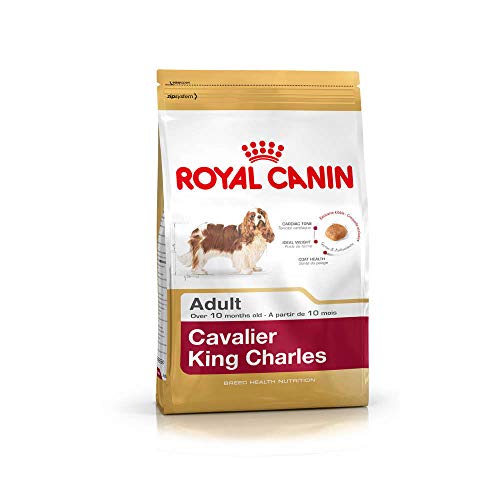 Cavalier King Charles - Saco de 3 kg para adulto