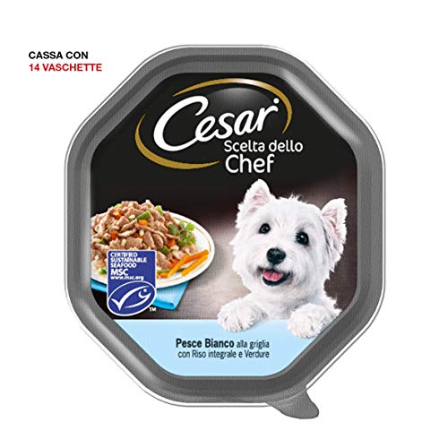 Cesar Elección del Chef - Comida para Perro, delicias de Temporada, 150 g, 14 bandejas
