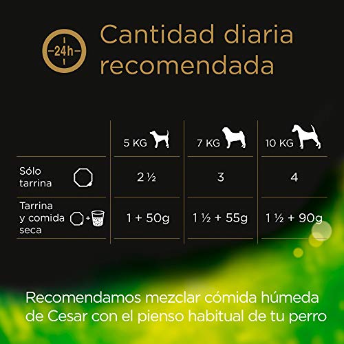 Cesar Multipack de 4 tarrinas de Recetas de la huerta para perro de 150g selección en paté y gelatina (Pack de 6)