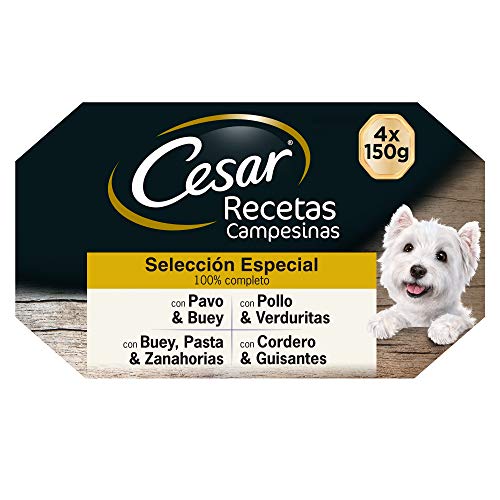 Cesar Multipack de 4 tarrinas Recetas campesinas para perro de 150g selección en salsa (Pack de 6)