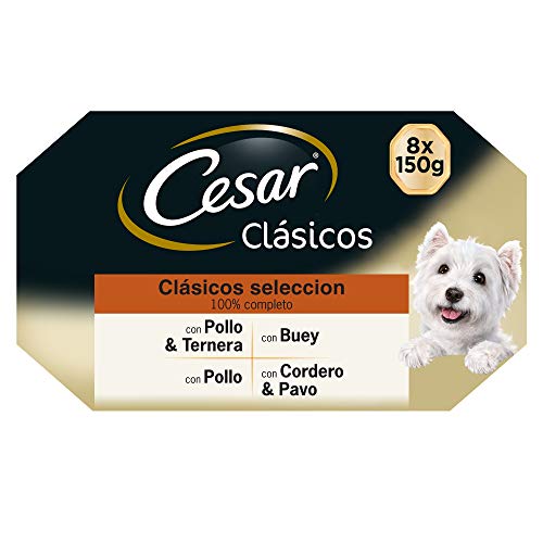 Cesar Multipack de 8 tarrinas para perro de 150g selección de clásicos en paté (Pack de 3)