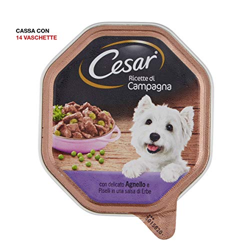 Cesar Recetas de Campo con Delicado Cordero y Guisantes en una Salsa de Hierbas 150 G – Comida para Perros – Pack de 14 Unidades