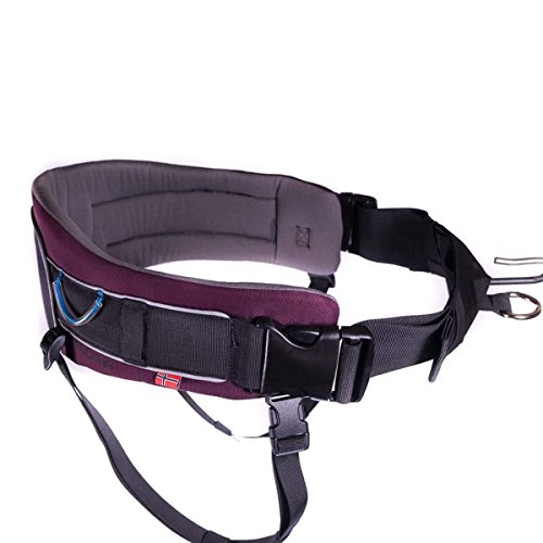 Cinturón de Trekking para Perros, púrpura, pequeño