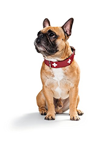 Collar de perro HUNTER Suiza, cuero, 42, rojo / negro