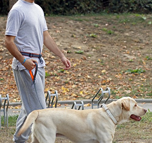 Correa de perro manos libres, correa para correr premium, ligera, reflectante, cinturón antigolpes.