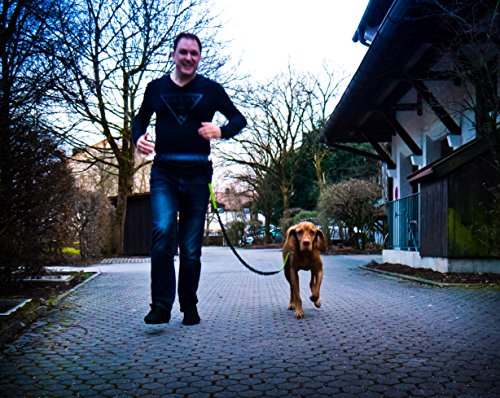 Correa para hacer jogging – Para perros, reflectante y elástica, de 120 cm (extensible hasta 200 cm), con cinturón y riñonera – Ideal para correr, dar paseos o excursiones con manos libres