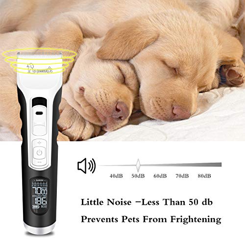 Cortapelos para Perro, Profesional Perros y Mascotas 4 Horas Uso Continuo, 5 Velocidades Ajustable Gatos Pantalla LED con Cable USB