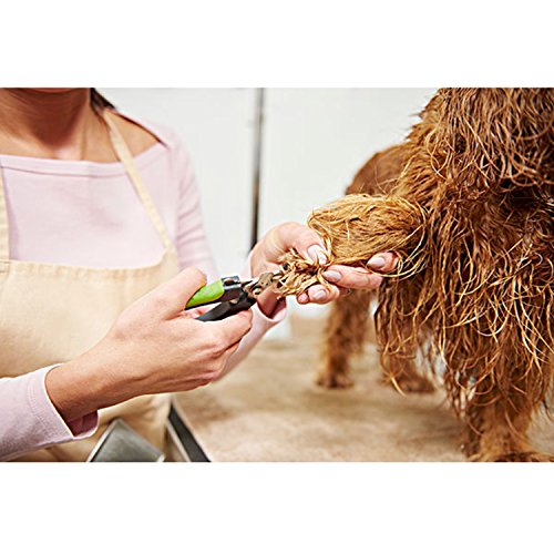 Cortauñas para Perros Profesional Tijeras de uñas de Grande Mediano perros con Lima de Uñas(Verde)