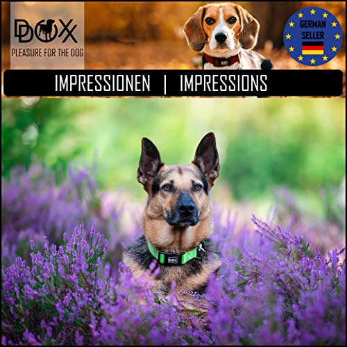 DDOXX Collar Perro Nylon, Ajustable | Diferentes Colores & Tamaños | para Perros Pequeño, Mediano y Grande | Collares Accesorios Gato Cachorro | Negro, XS