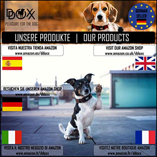 DDOXX Collar Perro Nylon, Ajustable | Diferentes Colores & Tamaños | para Perros Pequeño, Mediano y Grande | Collares Accesorios Gato Cachorro | Rojo, M
