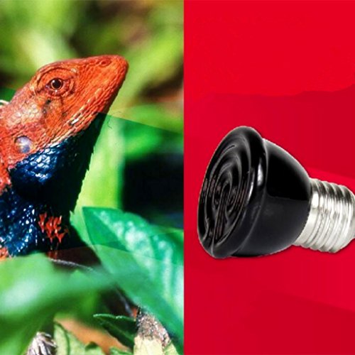 Desconocido Mini-emisor Lámpara Cerámica Infrarroja Criadora Reptil Bombilla Bajo como Mascota Iluminación - 40w