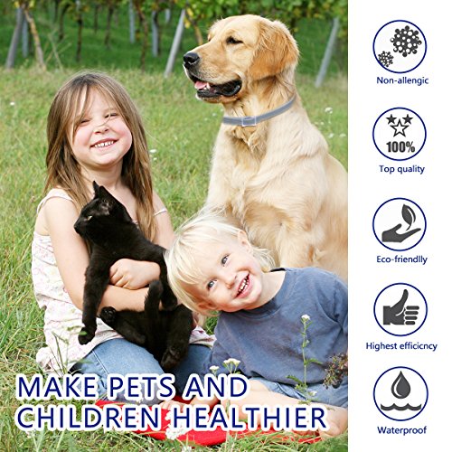 Dewel Collar Antiparasitos Perros/Gatos Contra Pulgas,Garrapatas y Mosquitos,Tamaño Ajustable e Impermeable para Mascota Pequeño Mediano Grandes