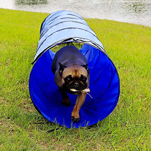 Dibea Perros, túnel de Agilidad para Mascotas, 200 x 43 cm (S), Color Azul