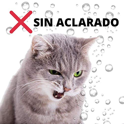 DISANE Champú Seco Gatos Natural 200ml | Espuma Lavado en Seco para Gatos, Sin Aclarado | Elimina la Suciedad y los Malos olores del Pelaje del Gato | Cruelty-Free