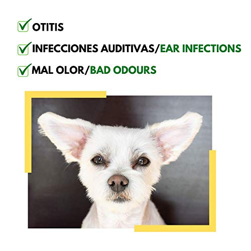 Disane Limpiador de Oídos para Perros Natural | Evita Infecciones de Oído Eliminando Acumulaciones de Suciedad, Cera y Secreciones | Formula Bajo Control Veterinario para el Cuidado Ótico del Perro