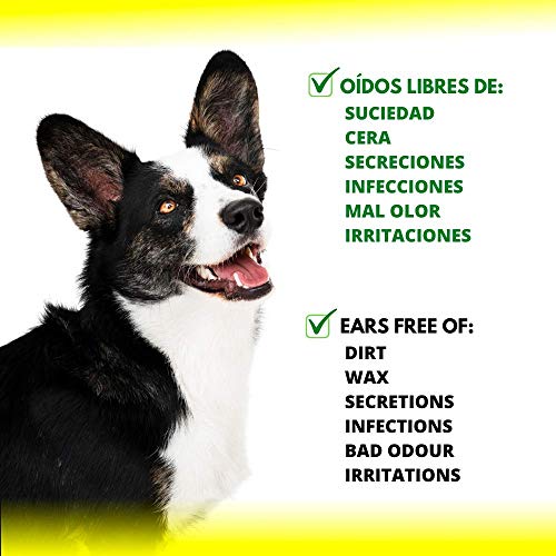 Disane Limpiador de Oídos para Perros Natural | Evita Infecciones de Oído Eliminando Acumulaciones de Suciedad, Cera y Secreciones | Formula Bajo Control Veterinario para el Cuidado Ótico del Perro