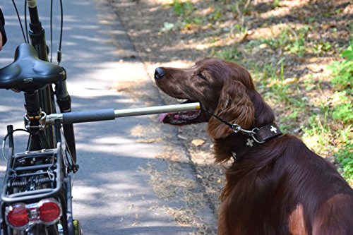 dobar 62000 Walky Dog Plus – Perros Cuerda de Acero Inoxidable con Triple Trasera de Silenciador, Bicicleta Cuerda con Quicklock y Espaciador, 37.5 cm, Acero Inoxidable
