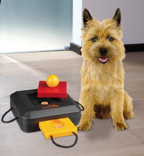 Dog Activity Gamble Box, 15x9x15 cm, Niv.1, Colores surtidos