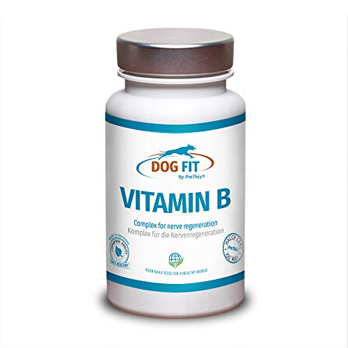 DOG FIT by PreThis Complejo Vitamin B para Perros | para el Sistema nervioso, la espondilosis, la parálisis, los trastornos de coordinación, la incontinencia y Las deficiencias visuales