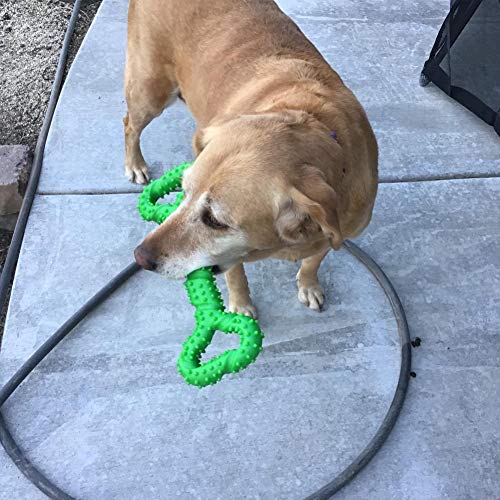 Duros Juguetes morder para perros, 13 pulgada goma juguete forma de hueso con superficie convexa resistente Juguetes interactivos para cachorro de perros pequeños medianos y grandes