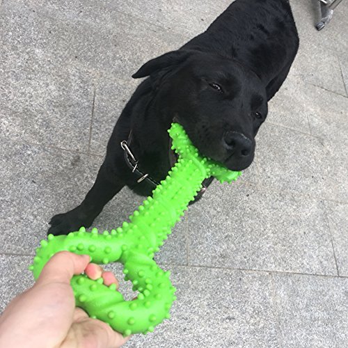Duros Juguetes morder para perros, 13 pulgada goma juguete forma de hueso con superficie convexa resistente Juguetes interactivos para cachorro de perros pequeños medianos y grandes