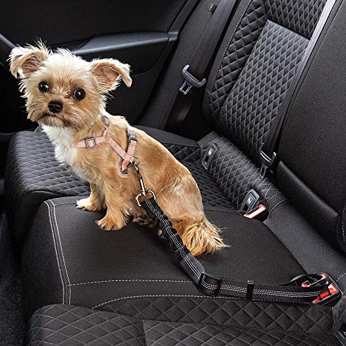 ECENCE 1x cinturón de Seguridad para Perro cinturón elástico para Mascotas 11020109