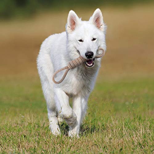 FONPOO Juguetes para Perros,Hecha de Algodón y Cuerda de Nylon Seguro Sano Juguete Interactuar Adecuado para Medianos Juguetes Perros pequeños