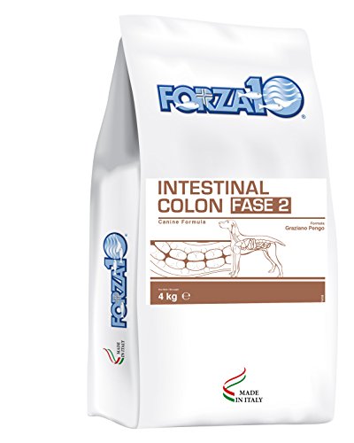 Forza10 Intestinal Colon Phase II - Pienso seco para Perros con inflamación de la mucosa gástrica