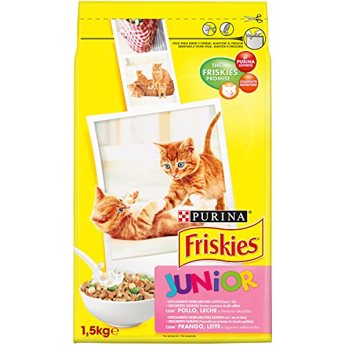 Friskies - Gato Junior con Pollo, Leche y Verduras añadidas, 1,5 Kg
