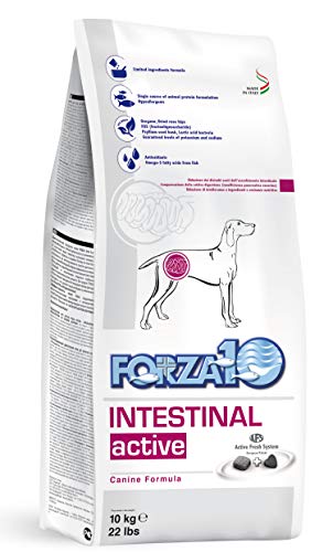 Fuerza 10 Active Line intestinal seco Perro kg 10 Cubos dietéticos para Perros, Multicolor, único