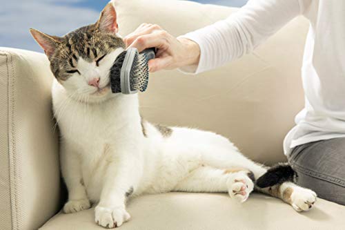 FURminator® Cepillo dual para perros y gatos