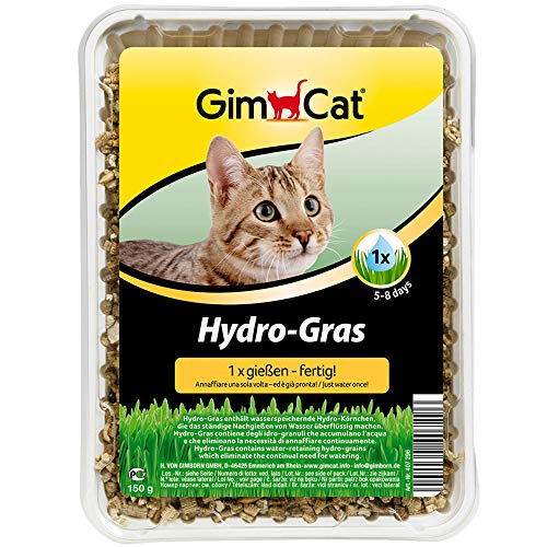 GimCat Hydro-Gras – Hierba para gatos de plantación controlada – De fácil cultivo en 5-8 días regando 1 sola vez – 1 bandeja (1 x 150 g)