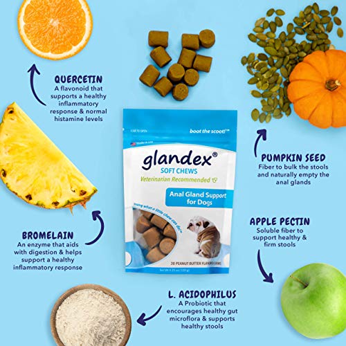 Glandex 30 Count Soft Chews Suplemento de probióticos y Fibra para Perros