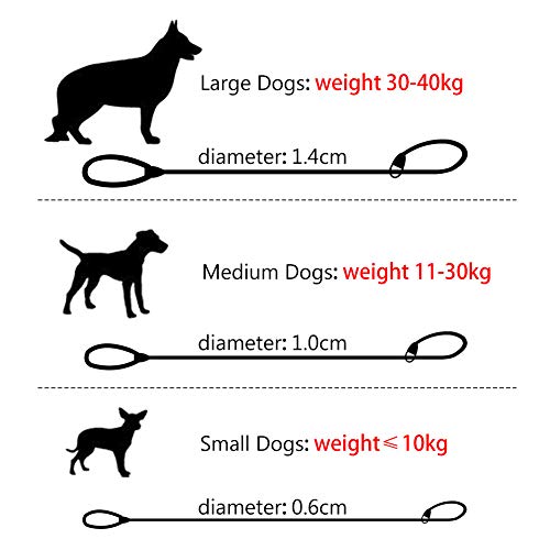 Grand Line Correa Ajustable Cuerda Slip para Perros Gatos Pequeños Medianos Grandes y Extra Pesados- 1,5m, Azul