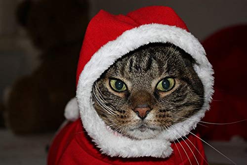 Grivey Perro Navidad Ropa de Perro Super Suave Puppy Disfraz con Capucha Cachorro y Gatos Ropa Jersey Disfraz de Papá Noel/Christmas Santa Pet Cat Clothes