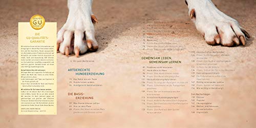 GU José Arce's Praxisbuch: Caminos Equipo de Perros + stylischer Hunde-Beutel & Gratis Hunde-Spielball para Zahnpflege, Hundeerziehung