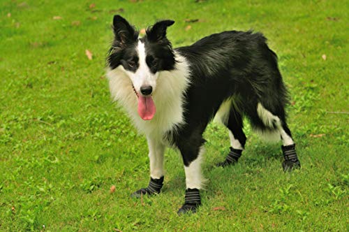 Hcpet Protectores de Pata de Perro, Zapatos Perro para Pequeña y Grandes Perros – Negro (2#)