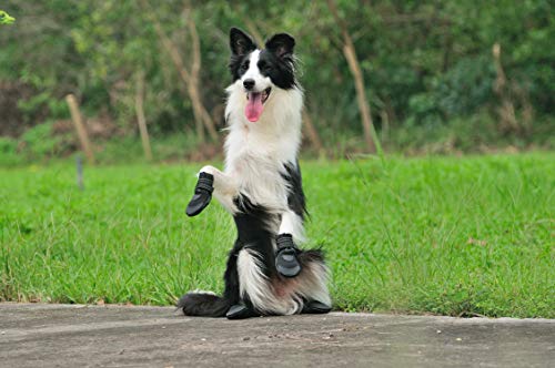 Hcpet Protectores de Pata de Perro, Zapatos Perro para Pequeña y Grandes Perros – Negro (2#)