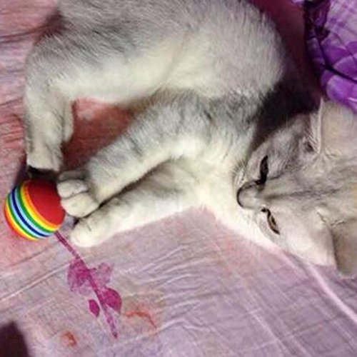 Healthy Clubs 10Pcs Funny Cute Rainbow Toy Ball Small Dog Cat Pet training Toys