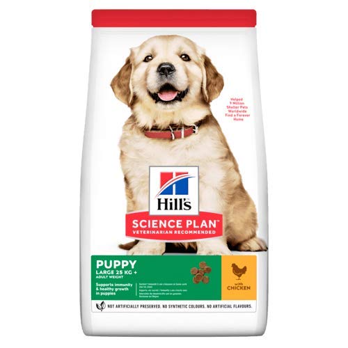 Hills Science Plan Canine Puppy Large Breed Pollo 14.5Kg 14500 g
