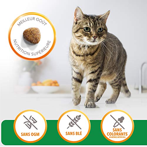 IAMS for Vitality Alimento para Gato Adulto con Cordero [10 kg]