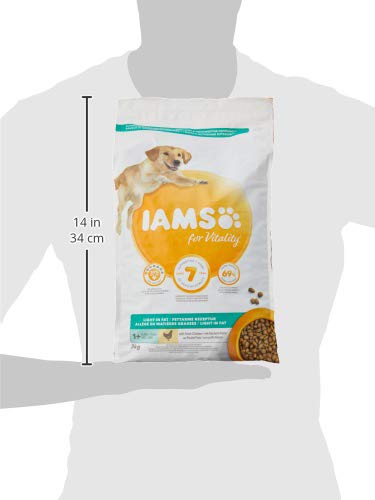 IAMS Luz de Comida para Perro seco, 3 kg – Pack de 3