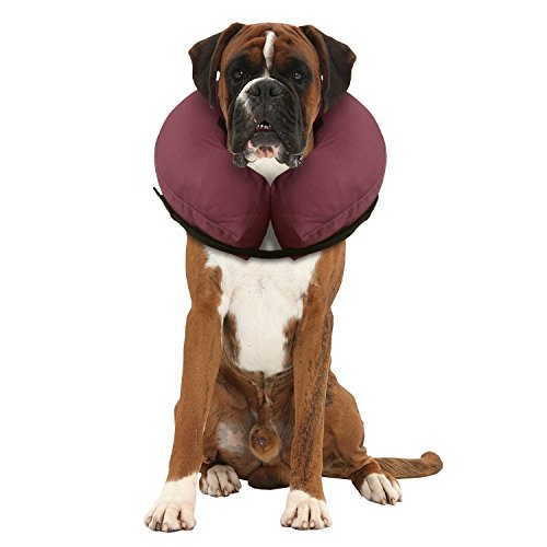 iCollr - El Collar Inflable - Collar Protector para Perros y Gatos en la Recuperación Postoperatoria